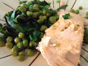 Salmon