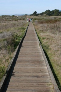 The outstretched boardwalk in Cambria