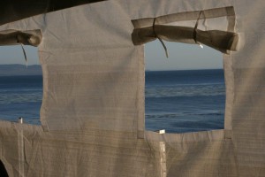 View from the Tent