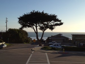 View from Full Moon Tasting Room & Wine Bar