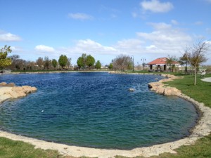 Barney Schwartz Park Lake