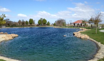 Barney Schwartz Park Lake