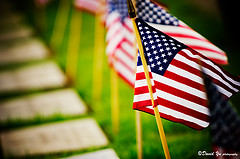 Memorial Day Thoughts and Reflections