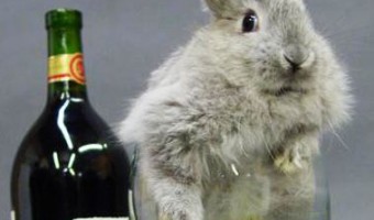 Easter Wine