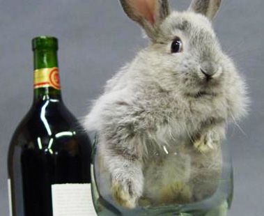 Easter Wine
