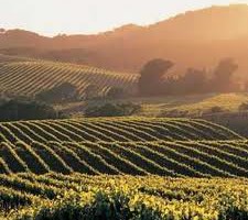 Paso Robles Wine Country
