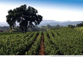 Paso Wine Country