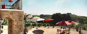 Michael Gill Cellars