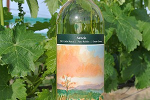 2013-Arneis