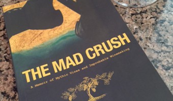 Book: ‘The Mad Crush’ and a Q&A with the Author