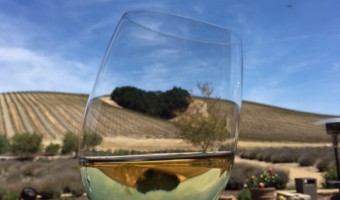 Niner Wine Estates: Food and Wine