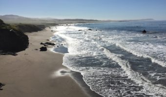 San Simeon: Beach, Food, and Wine