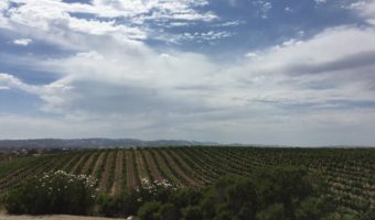 Paso Robles Named Best Wine Country Town by Sunset Magazine