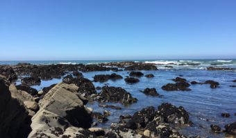 Cambria: The Beach, Beer, and Wine