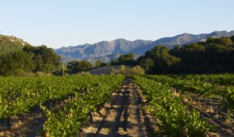 The 2016 San Luis Obispo County Wine Industry Awards Recognize Leaders of the Industry at the California Mid-State Fair