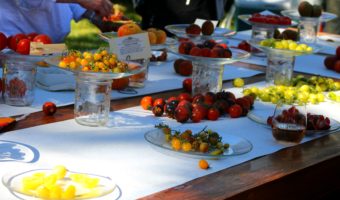 Heirloom Tomato Festival at Windrose Farm