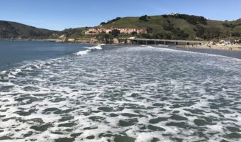 Where to Eat: Ocean Grill Avila Beach