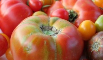 Heirloom Tomato Festival 2017