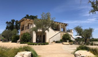 Paso Robles Wine: Rava Wines