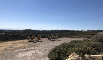 Paso Robles Wine: Calcareous Vineyard