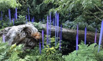 Travel to Seattle: Chihuly Garden and Glass