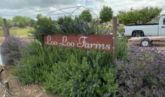 Spring Gardening Project with Loo Loo Farms