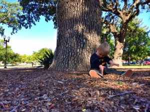 In the Park