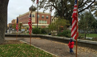 Veterans Day, Sammy, and Paso Robles