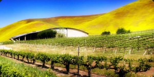 Byron Winery