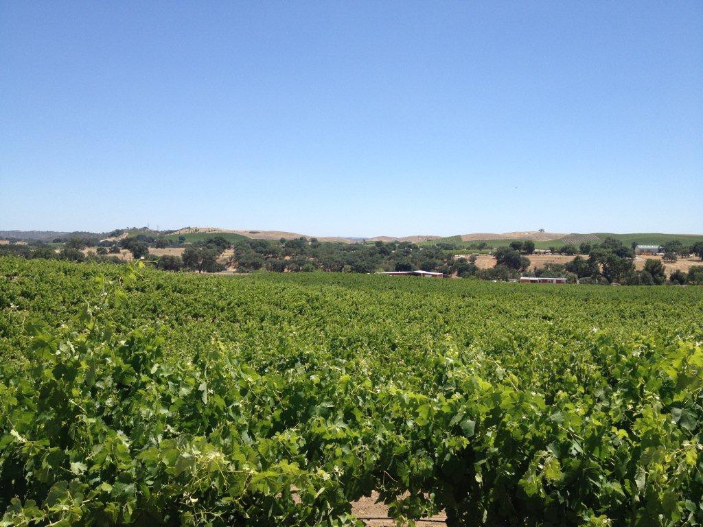 Paso Robles